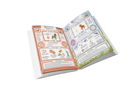 An open book displaying colorful pages with illustrations and text about copper's properties, uses, and interesting facts.